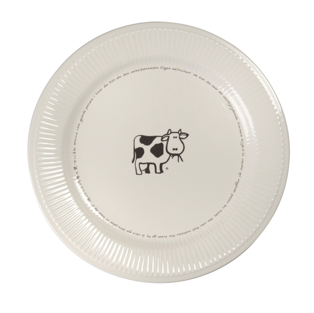 CW LV RB PLATE MEDIUM Ø 240 mm