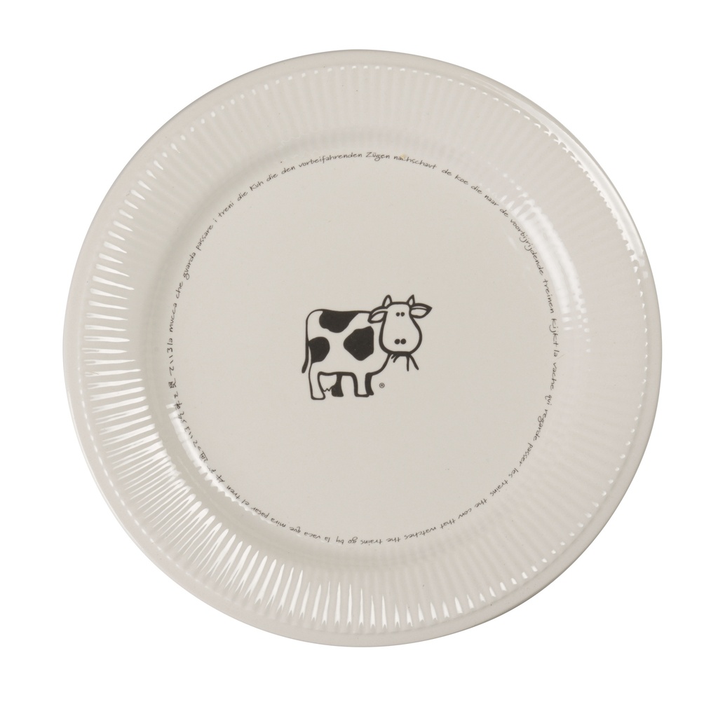 CW LV RB PLATE LARGE Ø 270 mm