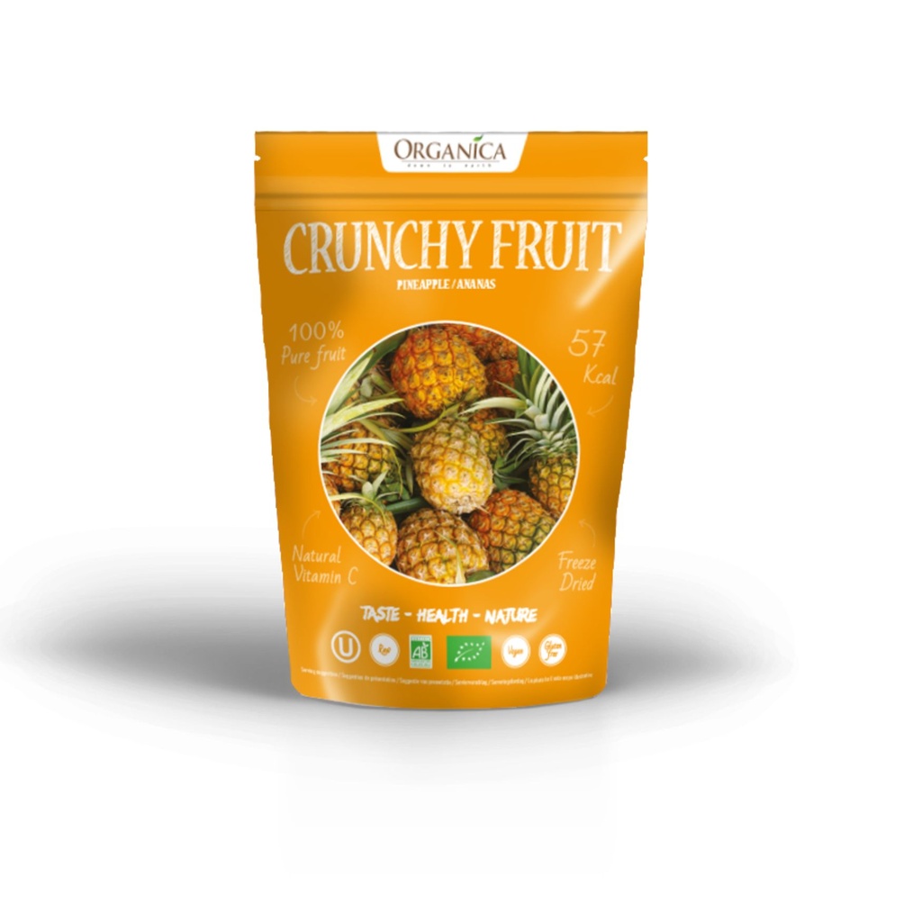 ORGANICA crunchy fruit ananas 16g