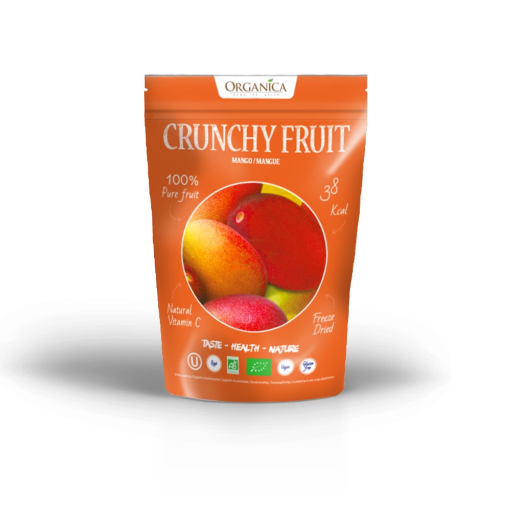 ORGANICA crunchy fruit mangue 18g